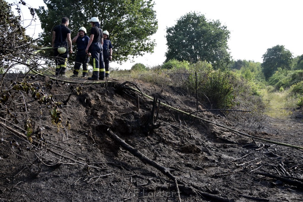 Waldbrand Koeln Hoehenhaus Hoehenfelder Mauspfad P090.JPG - Miklos Laubert